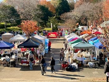 Image /static/img/marche/19th-christmas/landscape/IMG_3425.jpeg