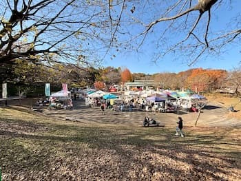 Image /static/img/marche/19th-christmas/landscape/IMG_3427.jpeg