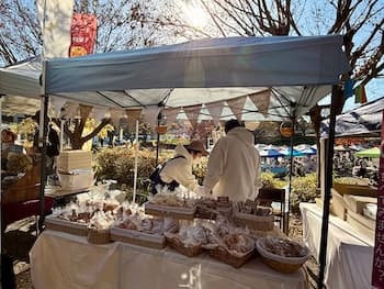 Image /static/img/marche/19th-christmas/landscape/IMG_3443.jpeg