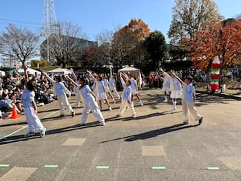 Image /static/img/marche/19th-christmas/landscape/IMG_3474.jpeg