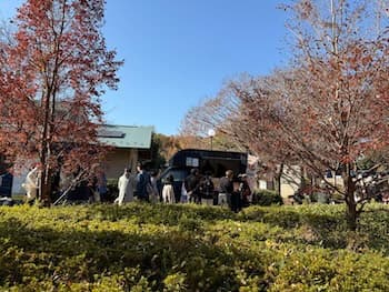 Image /static/img/marche/19th-christmas/landscape/IMG_3482.jpeg