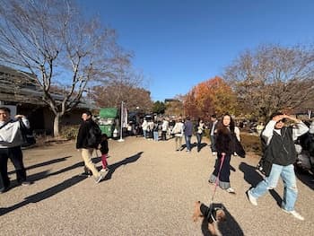 Image /static/img/marche/19th-christmas/landscape/IMG_3487.jpeg