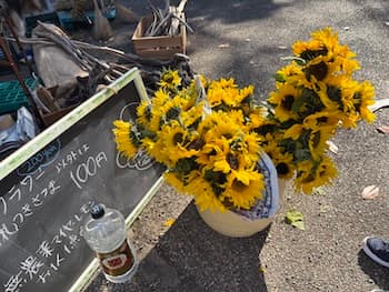 Image /static/img/marche/19th-christmas/landscape/IMG_3492.jpeg