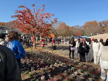 Image /static/img/marche/19th-christmas/landscape/IMG_3517.jpeg