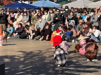 Image /static/img/marche/19th-christmas/landscape/IMG_3518.jpeg