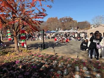 Image /static/img/marche/19th-christmas/landscape/IMG_3519.jpeg