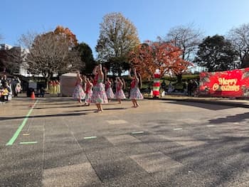 Image /static/img/marche/19th-christmas/landscape/IMG_3545.jpeg