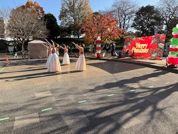 Image /static/img/marche/19th-christmas/landscape/IMG_3560.jpeg