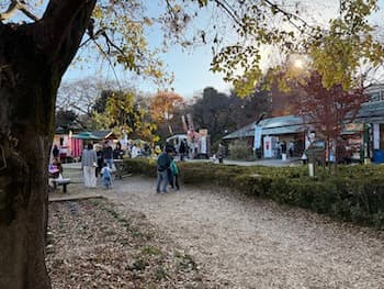 Image /static/img/marche/19th-christmas/landscape/IMG_3581.jpeg