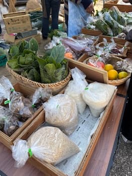 Image /static/img/marche/19th-christmas/portrait/IMG_3494.jpeg