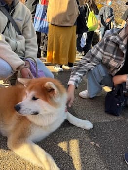 Image /static/img/marche/19th-christmas/portrait/IMG_3566.jpeg